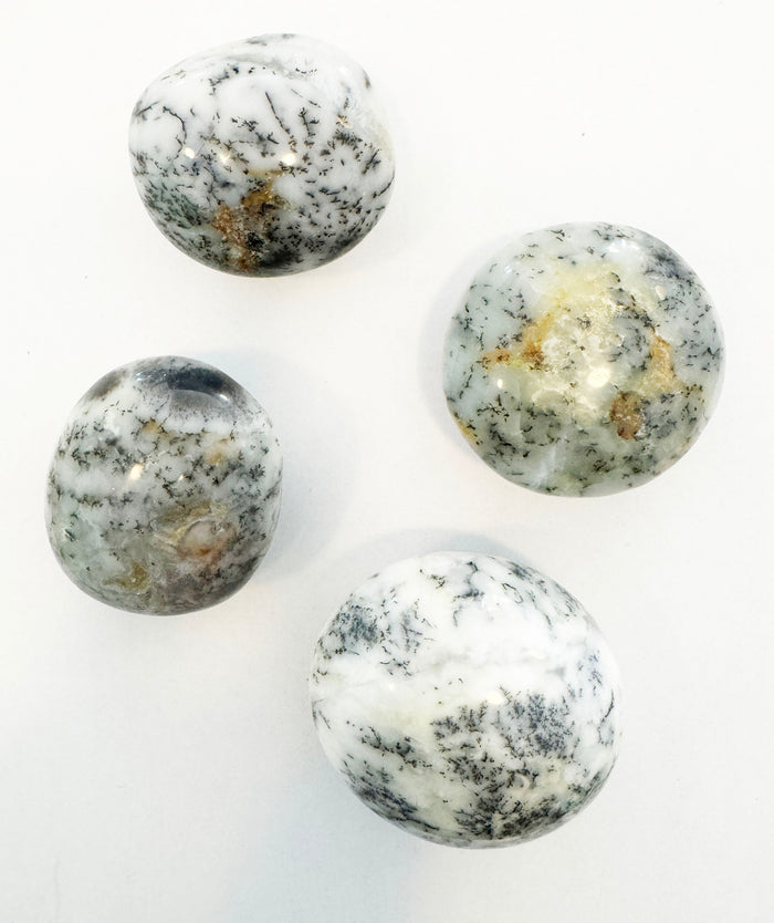 Dendritic Opal palmstone