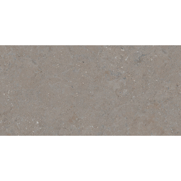 Celta Gris 60 x 120 Rectified Porcelain Tile - 1.44sqm perbox