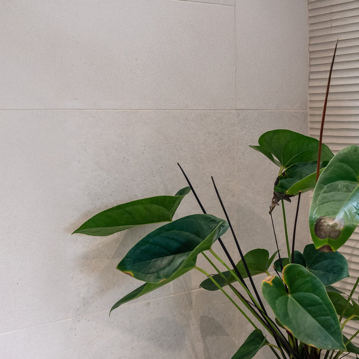 Clunia Natural 31 x 98cm Matt Rectified White Body Tile - 1.21sqm perbox