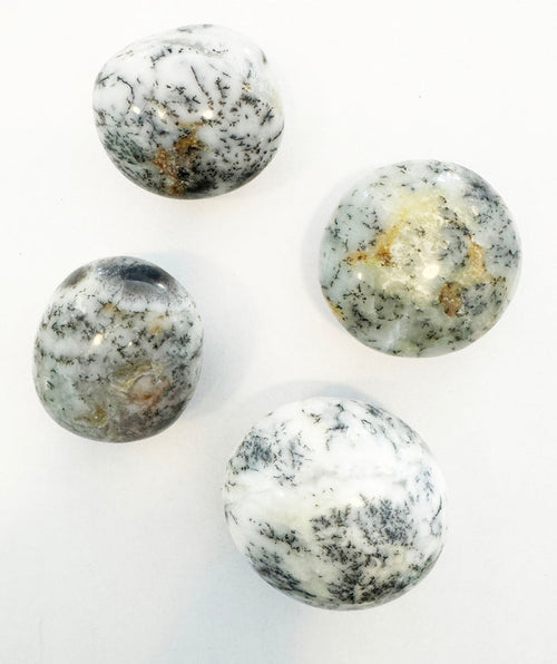Dendritic Opal palmstone