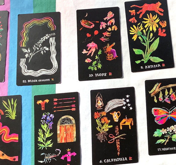 Dirt Gems: Plant Oracle Deck and Guidebook