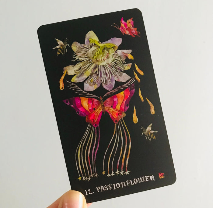 Dirt Gems: Plant Oracle Deck and Guidebook