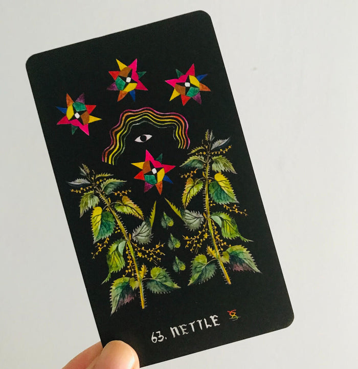 Dirt Gems: Plant Oracle Deck and Guidebook