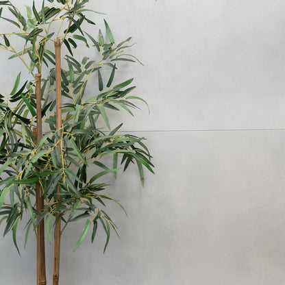 Iron White Matt 60 x 120cm Rectified Porcelain Tile - 1.44sqm perbox