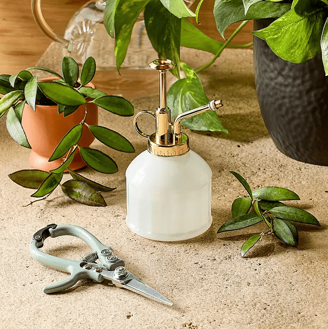 Modern Sprout Gardening Shears and Glass Plant Mister Set - Wichita Home Outlet