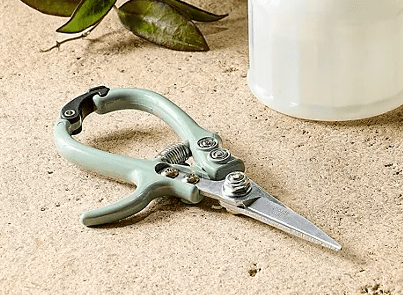 Modern Sprout Gardening Shears and Glass Plant Mister Set - Wichita Home Outlet