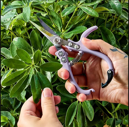 Modern Sprout Gardening Shears and Glass Plant Mister Set - Wichita Home Outlet