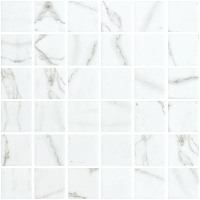 Penta Venato White Matte Square Non Slip 31.1 x 31.1cm Mosaic Sheet