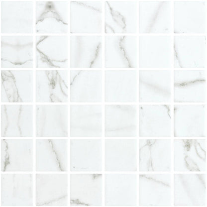 Penta Venato White Matte Square Non Slip 31.1 x 31.1cm Mosaic Sheet