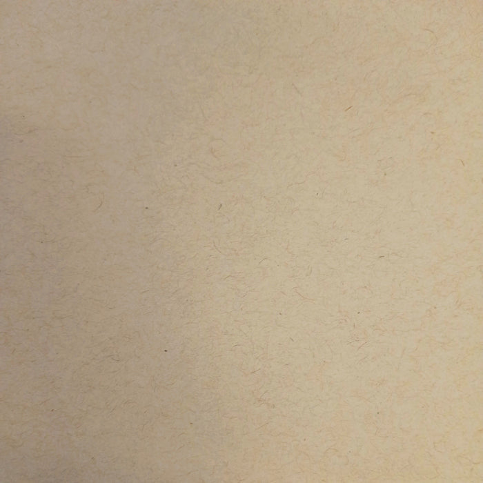 Speckletone Kraft 70# Text