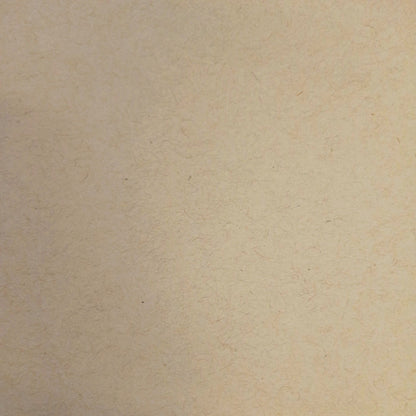 Speckletone Kraft 70# Text
